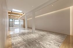 Sago Lane (D1), Shop House #501145501